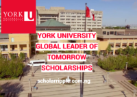 York University Global Leader of Tomorrow Scholarships