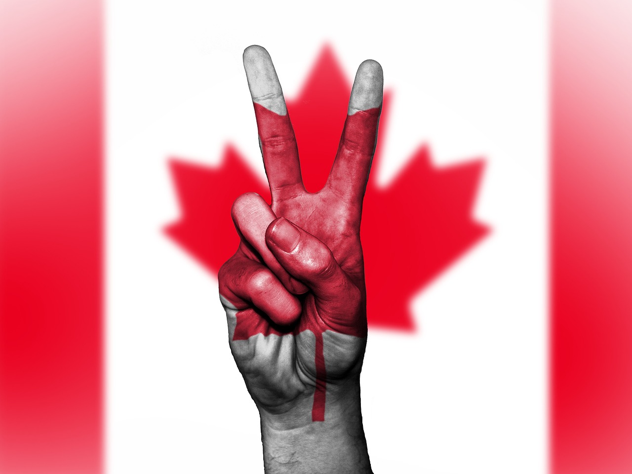 Scholarship Opportunities in Canada For International Students 2025
