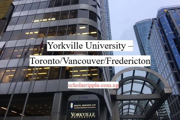How To Apply and Get Admission To Yorkville University – Toronto/Vancouver/Fredericton 2025