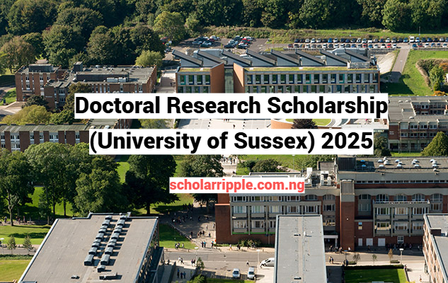 Doctoral Research Scholarship (University of Sussex) 2025