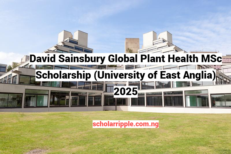 David Sainsbury Global Plant Health MSc Scholarship (University of East Anglia) 2025
