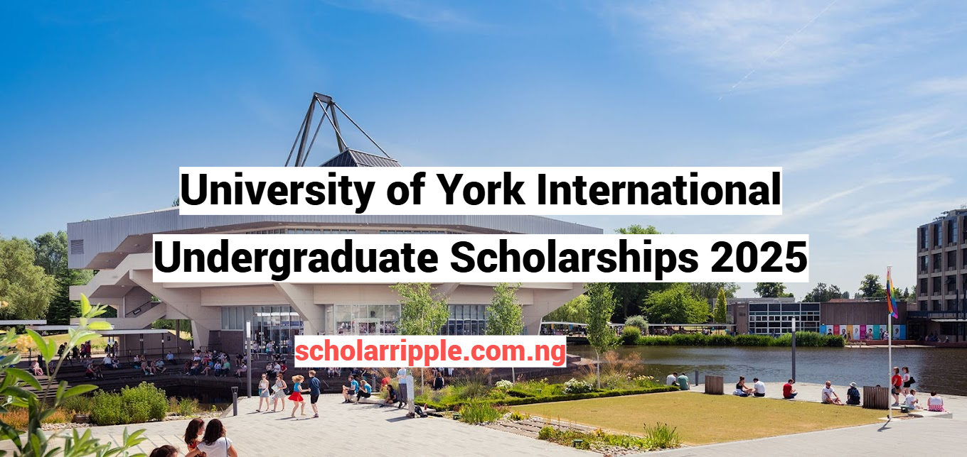 University of York International Undergraduate Scholarships 2025