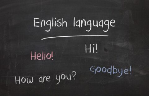 Grammar – Making Sentences with Synonyms, Antonyms, and Homonyms For Primary 2