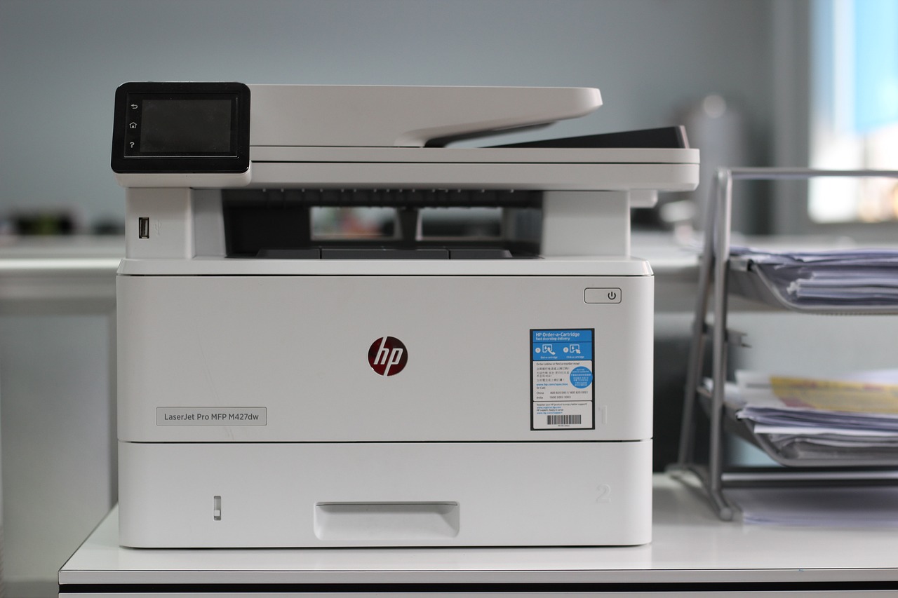 Meaning and Functions of a Printer For Primary 2